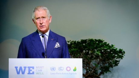 Prince Charles speaking at the 2015 United Nation Climate Change Conference