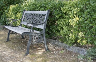 empty bench image