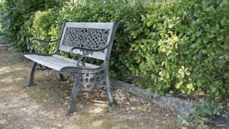 empty bench image