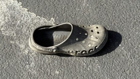 croc